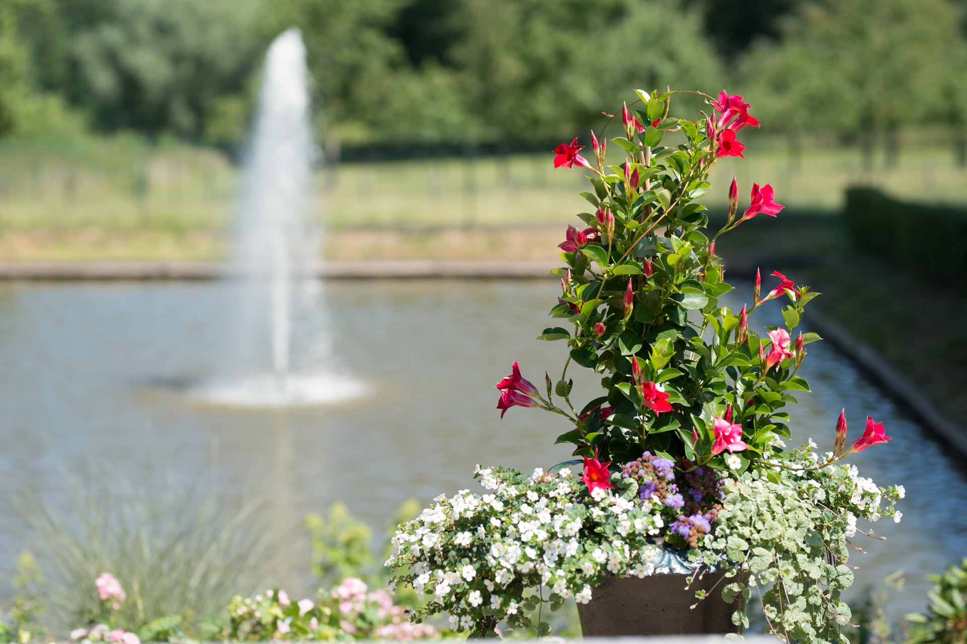 Tuin & Terras - Hof De Draeck